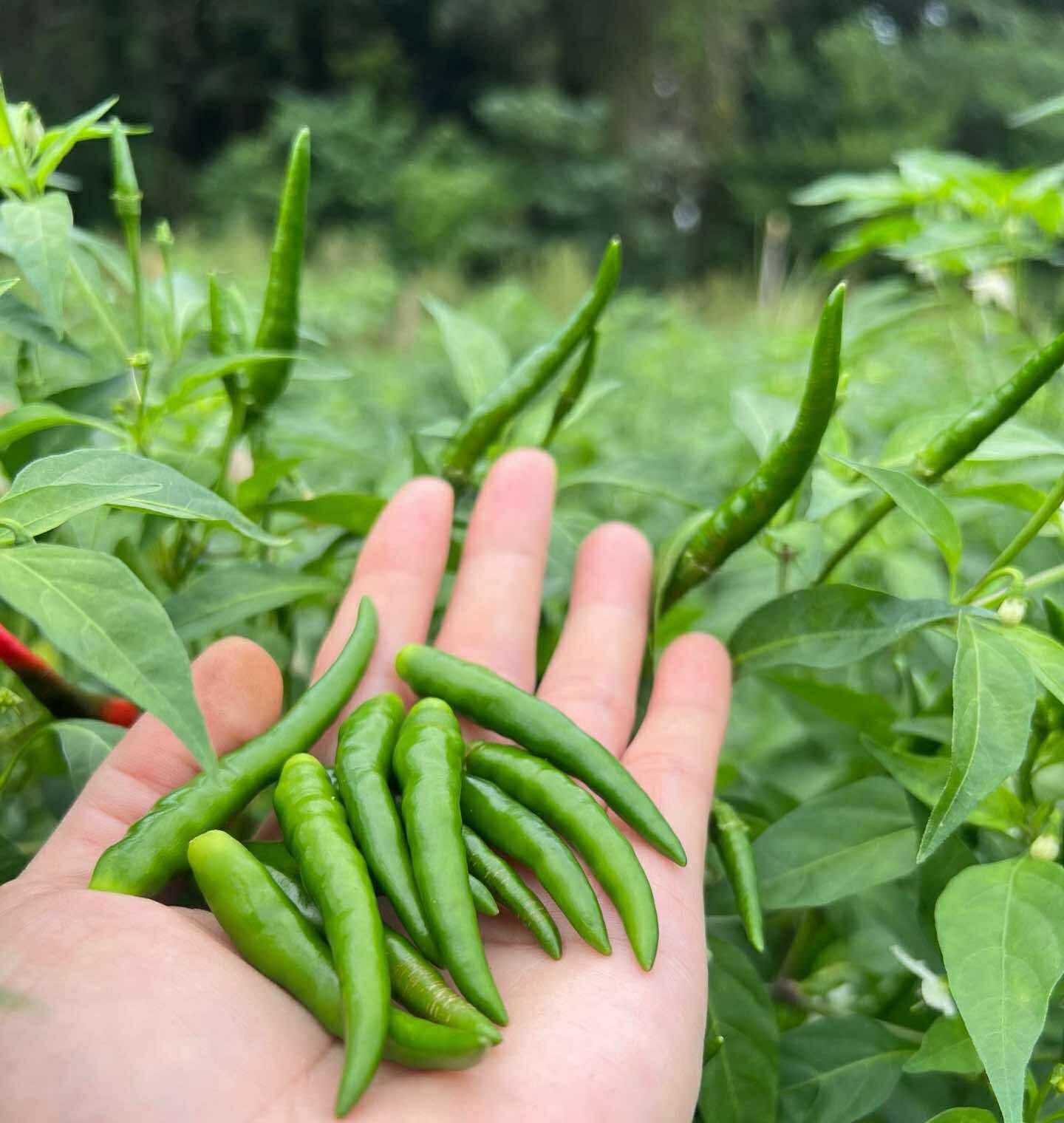 948c5ab7-b264-4e75-972f-0306b86ae604