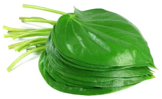Fresh Betel leaves/pan pata(250g)