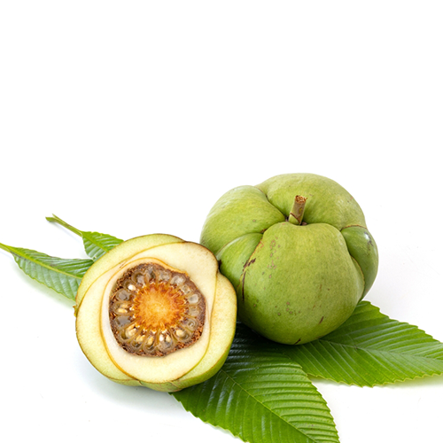 Bangladeshi Elephant Apple/Chalta 1pcs