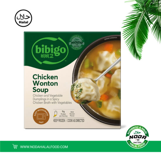 Chicken Wonton Soup packet